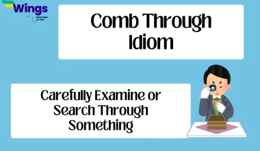 Comb Through Idiom