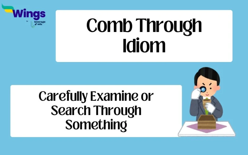 Comb Through Idiom