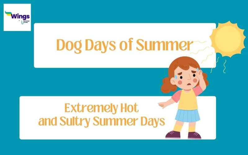 Dog-Days-of-Summer-Meaning