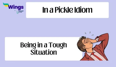 In a Pickle Idiom