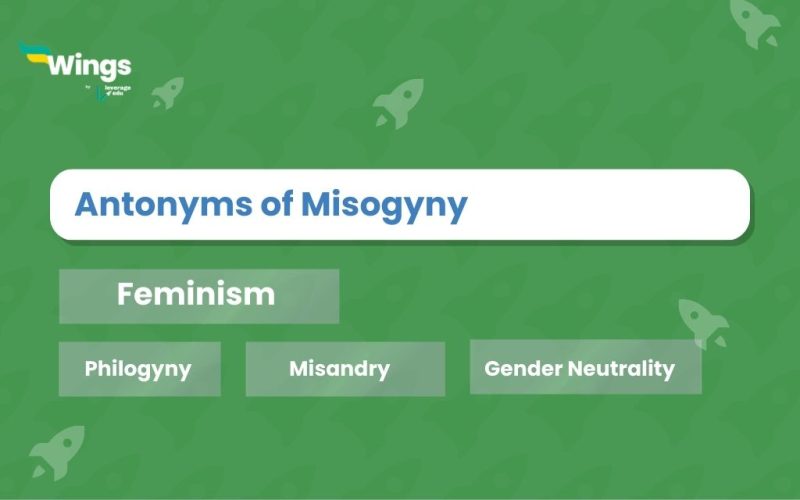 Antonyms-of-Misogyny