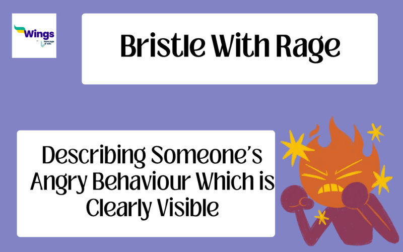 Bristle with rage