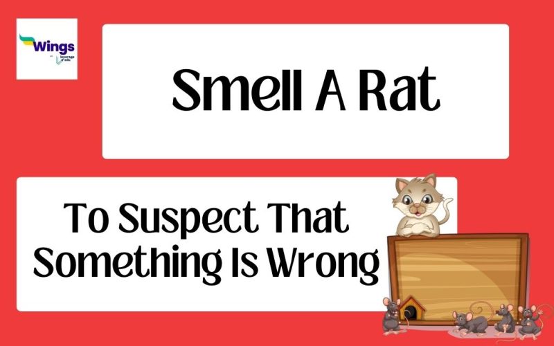 smell a rat idiom