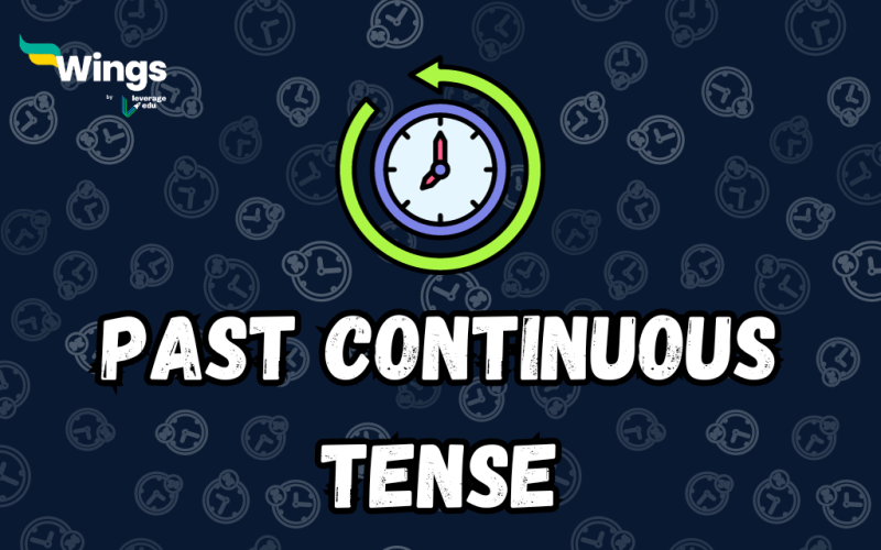 past continuous tense examples