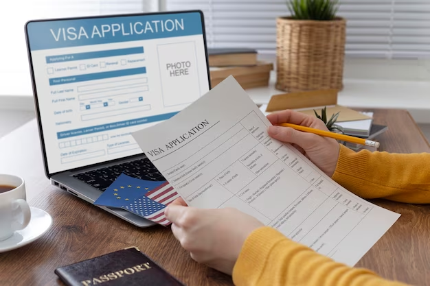 What is US Work Visa?