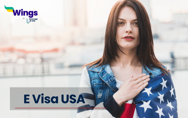 E Visa USA