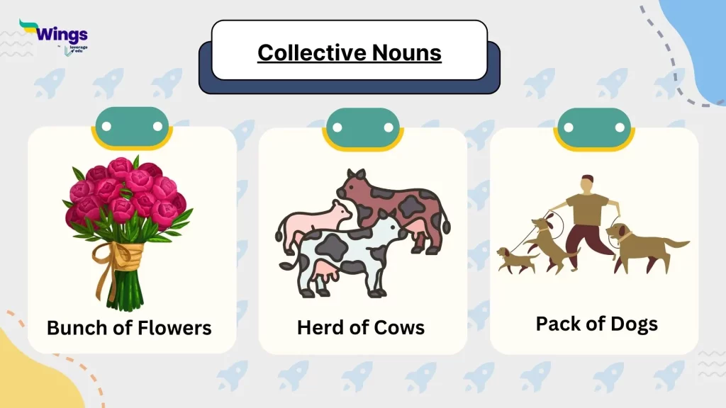 collective nouns