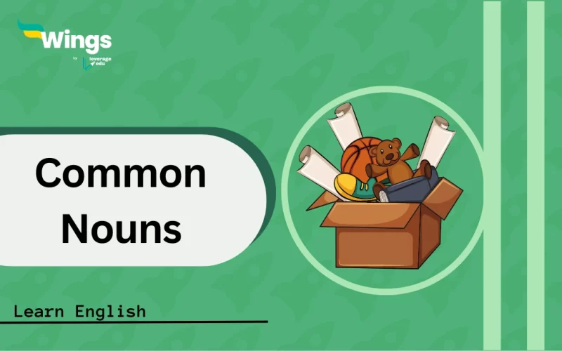 Common Nouns