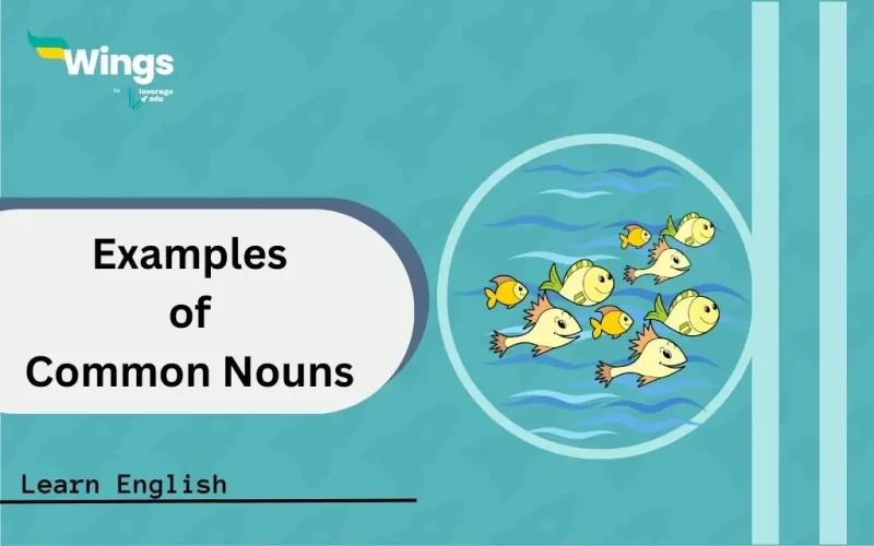 Examples-of-Common-Nouns