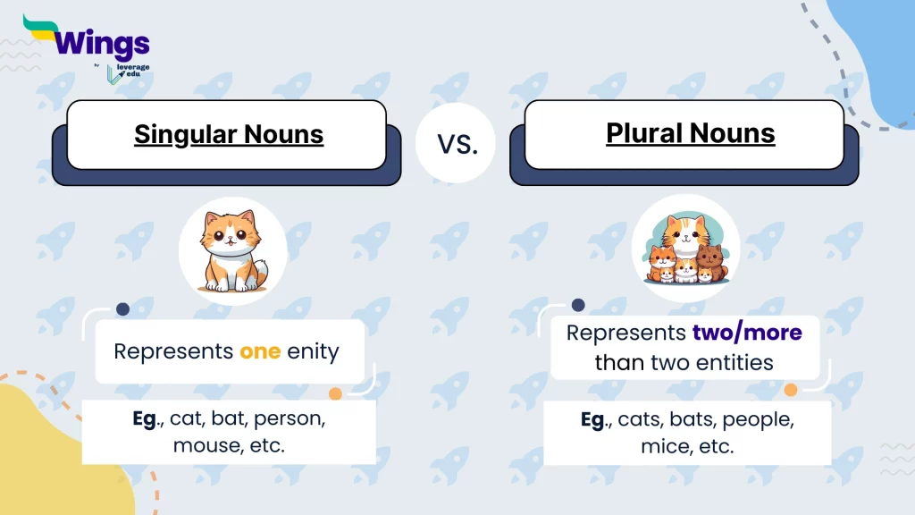 Singular Nouns vs. Plural Nouns