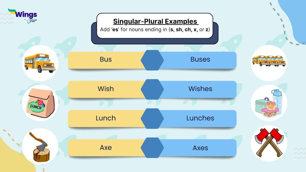 Singualr Plural Examples