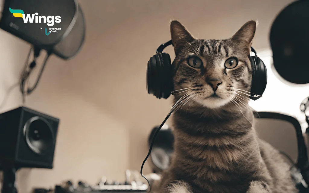 improve your english