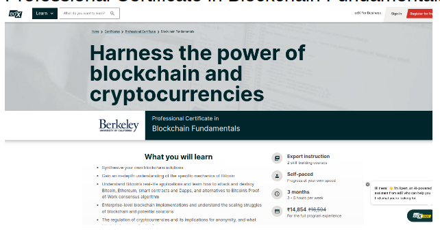 blockchain course online