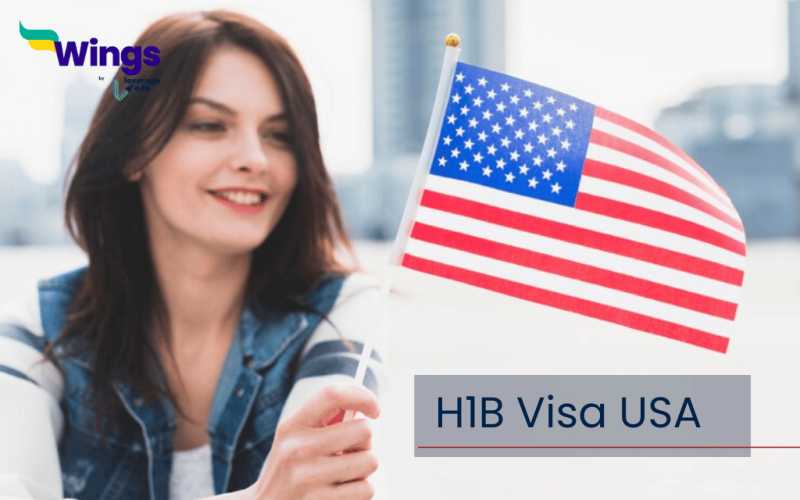 h1b visa usa