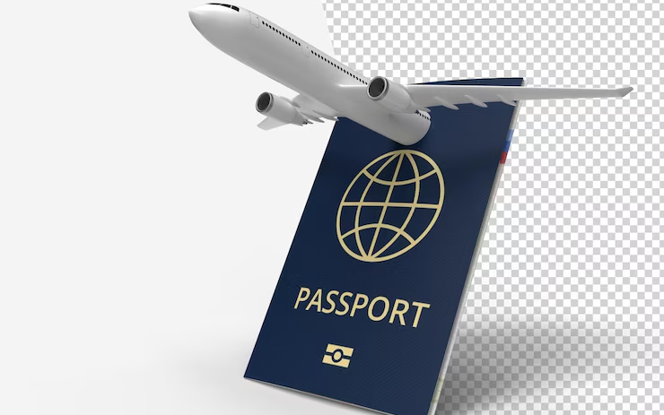 Know How to Check Ireland Visa Status 2024