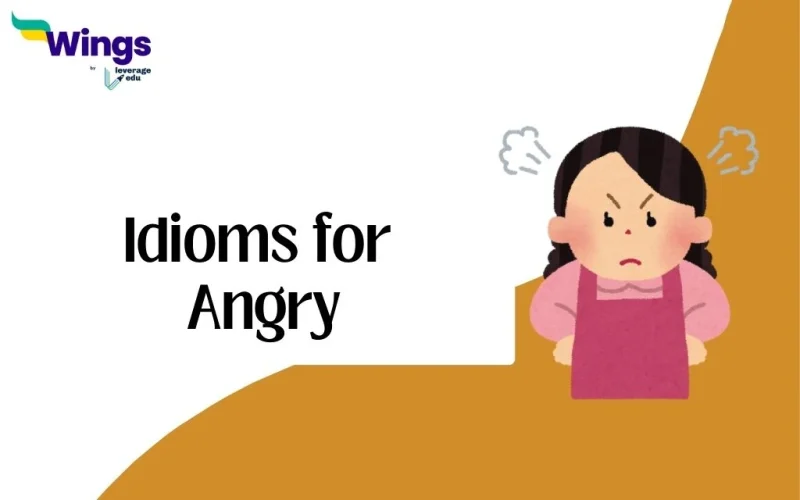 Idioms for Angry