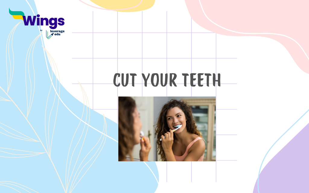 Idioms for experience: cut your teeth