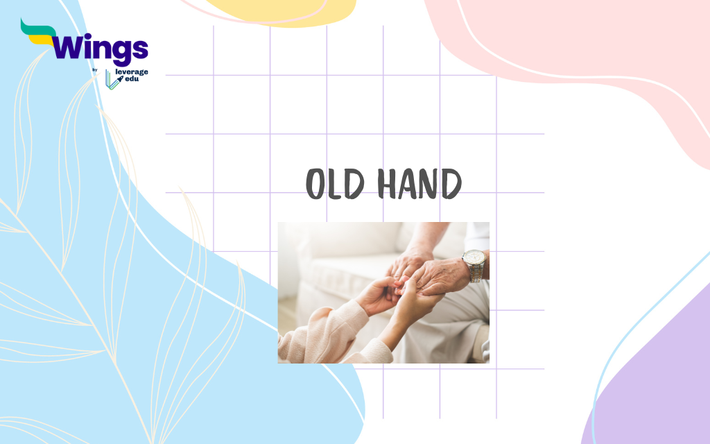 Idioms for experience: old hand