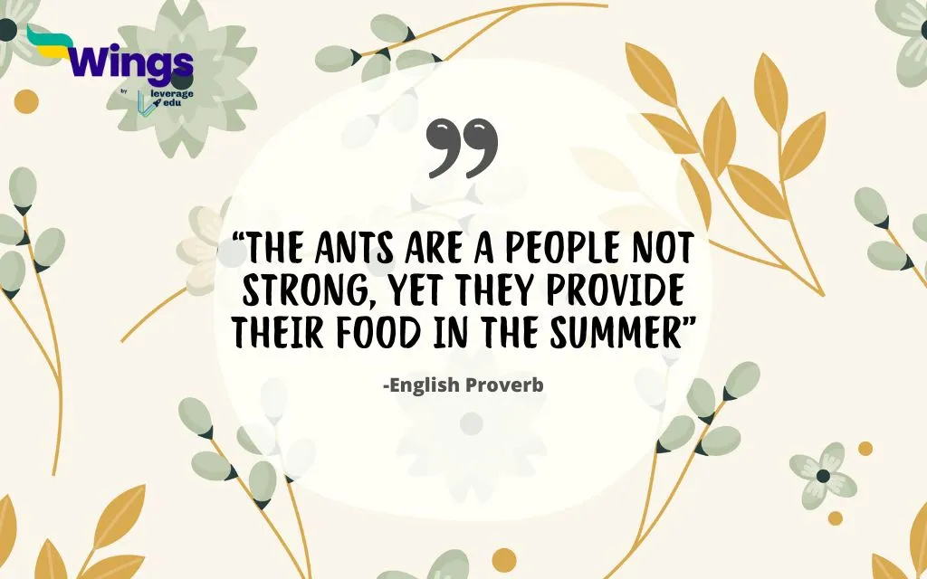 Proverbs about Ants