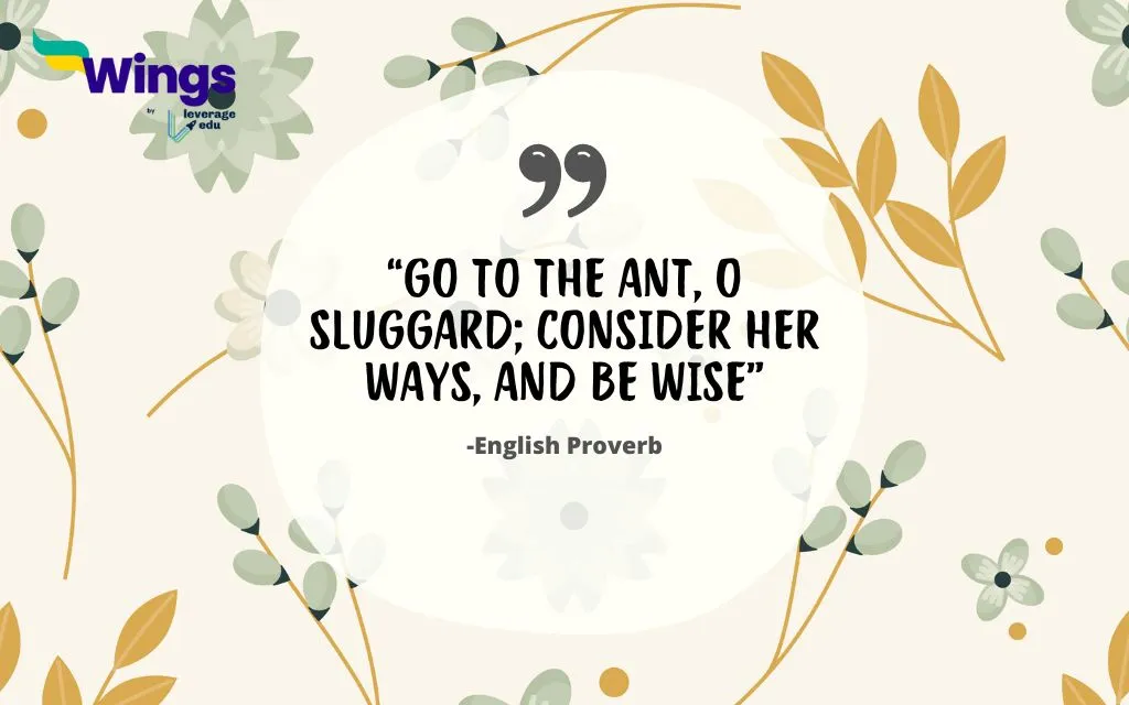 Proverbs about Ants
