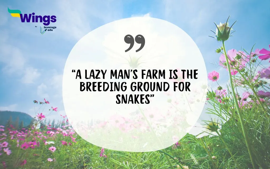 Proverbs On Agriculture