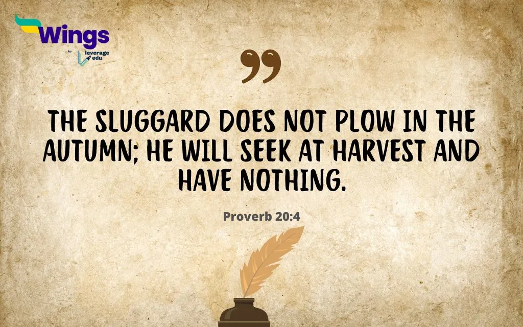 Proverbs for Lazy Person