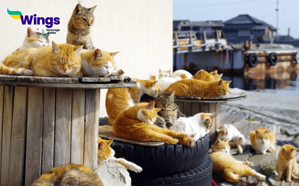 most strange places in the world