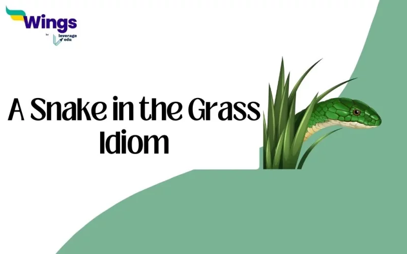 A snake in the grass Idiom