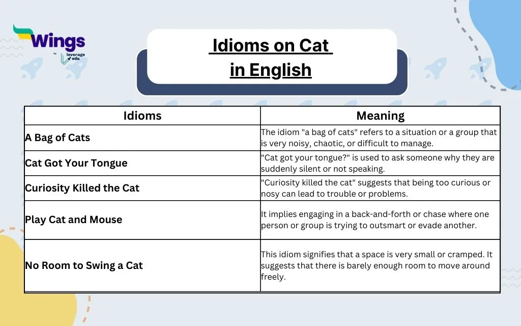 Cat Idioms