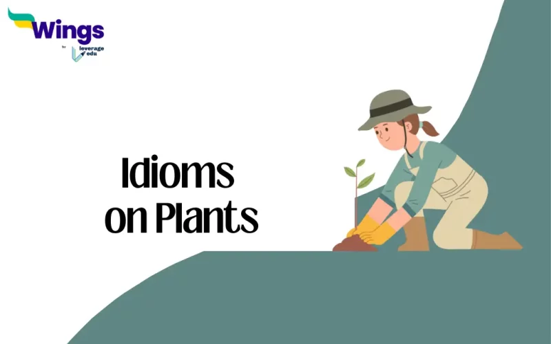 Idioms on Plants