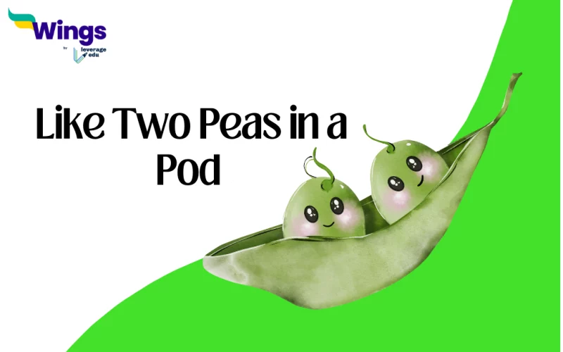 Like Two Peas in a Pod