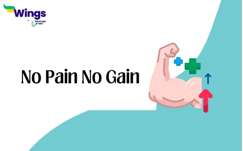 No Pain No Gain