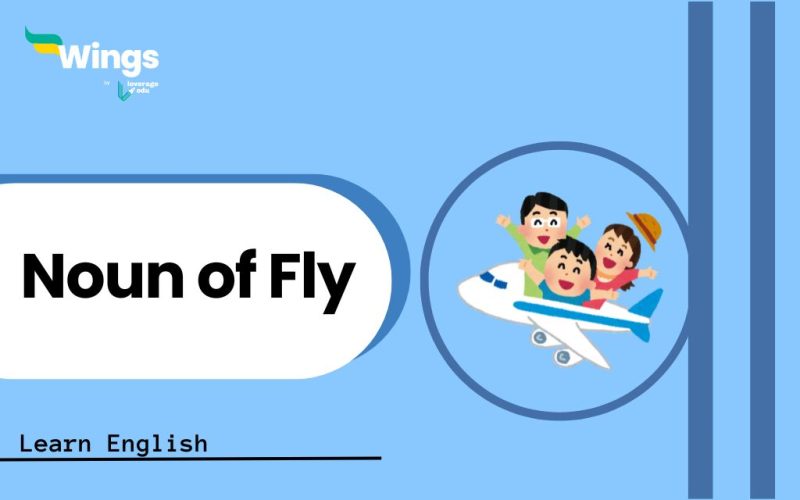 Noun-of-Fly