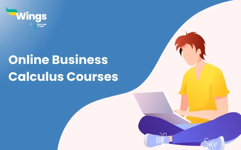 Online Business Calculus Courses