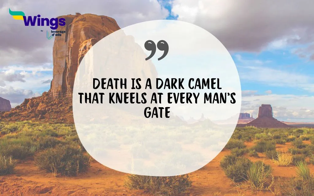 Proverbs about Camels