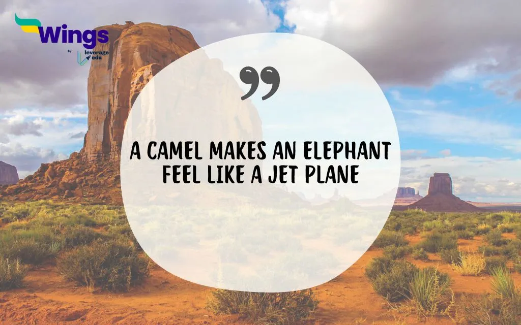 Proverbs about Camels