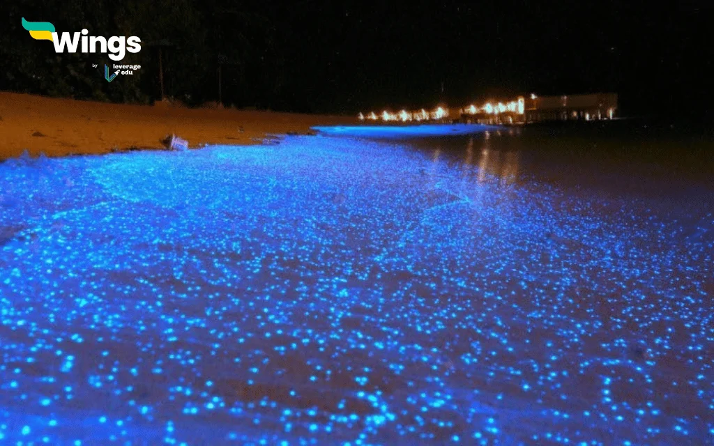 most strange places in the world