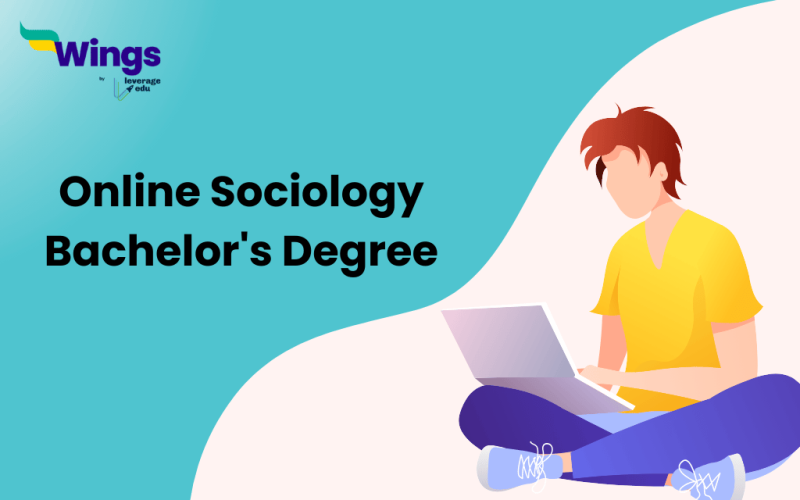 online sociology bachelor's degree