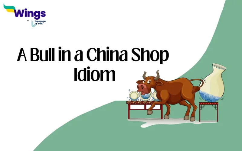 A Bull in a China Shop Idiom