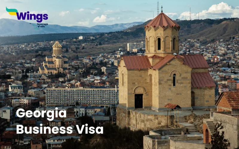 Georgia Business Visa