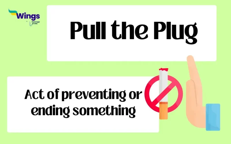 Pull the Plug Idiom