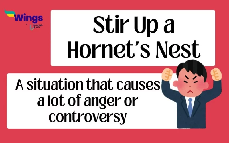 Stir Up a Hornet's Nest Idiom