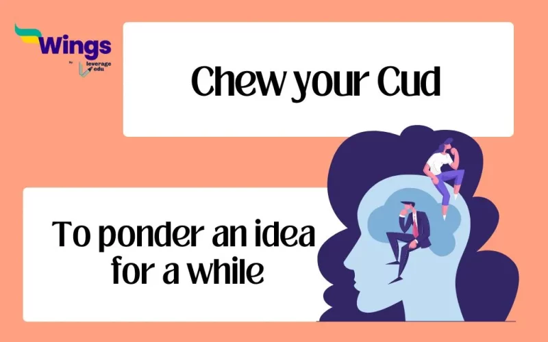 Chew your Cud Idiom