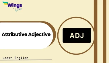 Attributive Adjective