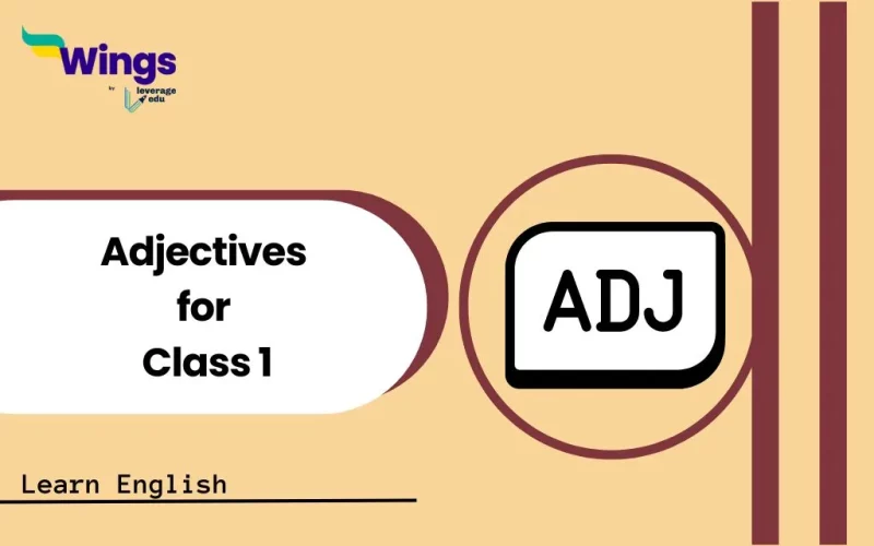 Adjectives for Class 1