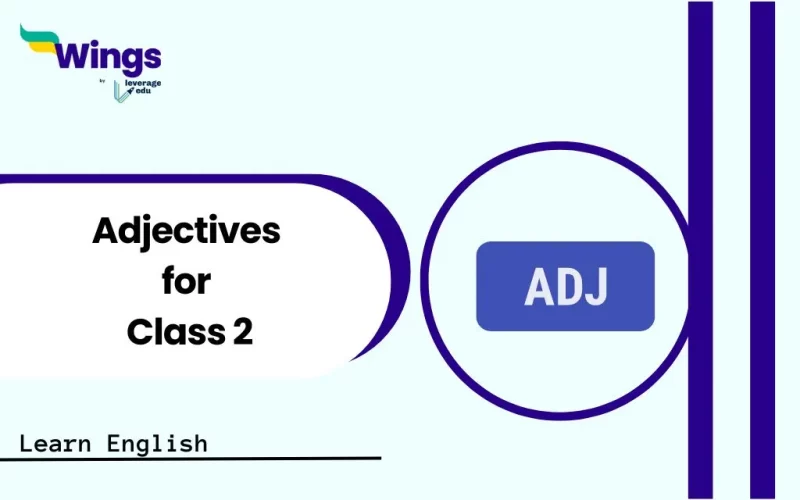 Adjectives for Class 2