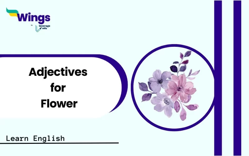 Adjective for Flower