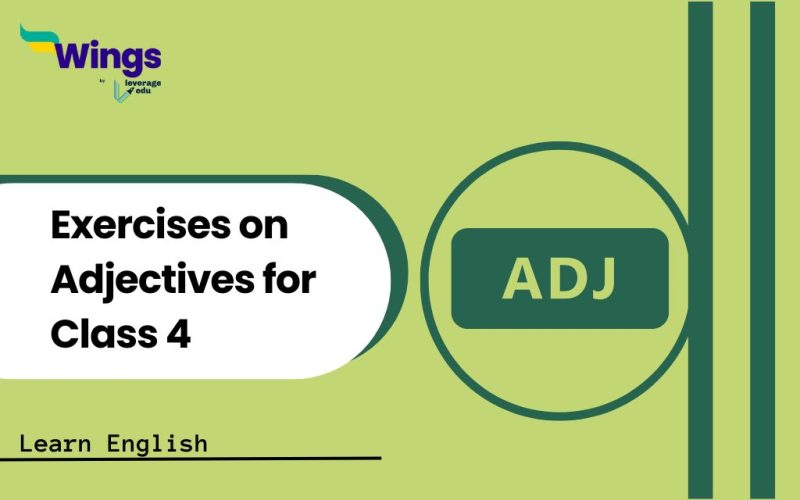 Exercises on Adjectives for Class 4