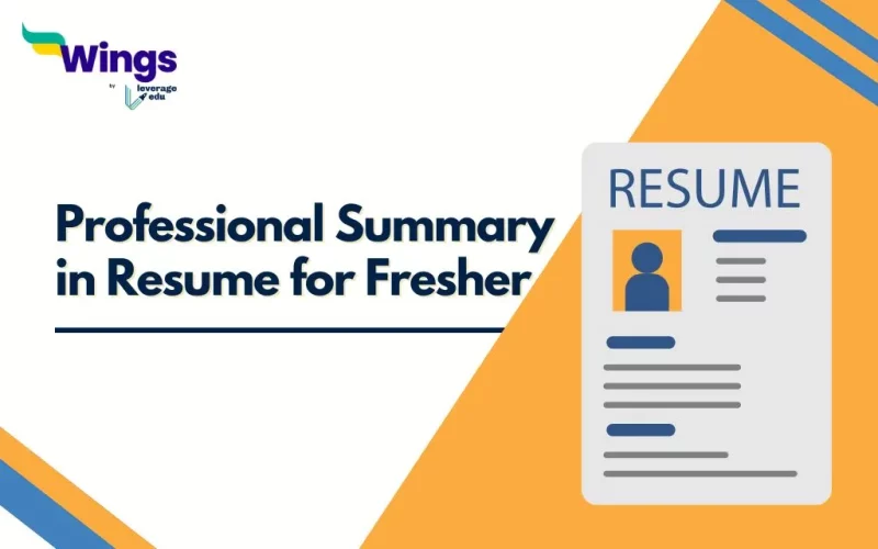 Professional Summary in Resume for Fresher