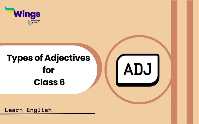 Types of Adjectives for Class 6